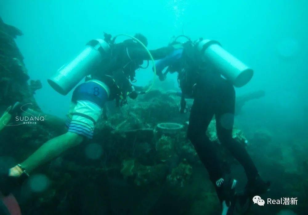 中信银行滨州分行为绘就乡村振兴新画卷增色添彩