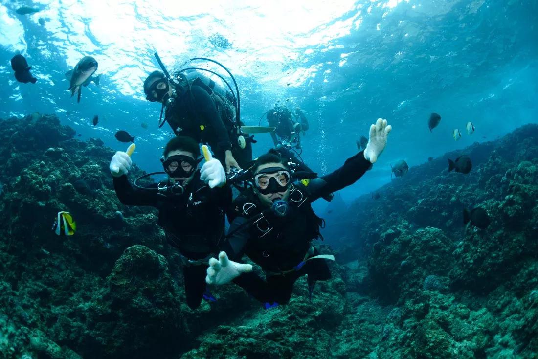 海盗的寻宝之旅