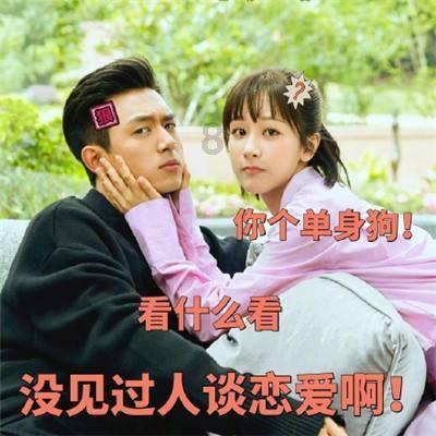 逃离老旧温泉社
