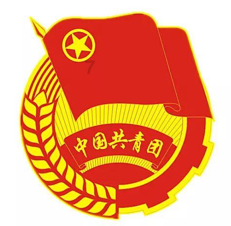 拯救受伤的猫