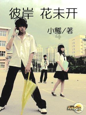海南“热”：进岛客流不断攀升 机场港口全力保障