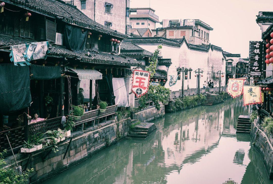 破碎的动物图形