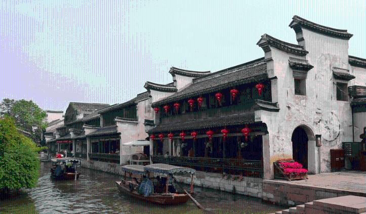 为什么有时候要给树”穿白衣服“？这有什么作用？